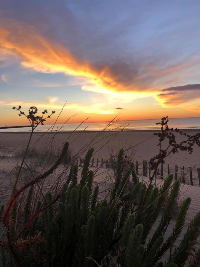 Residence Le Sunset Marseillan-Plage, Entre Mer Et Lagune De Thau, Etape Velo, Famille, Couple, Vrp, Toutou Admis, Jardin, Parking Prive Gratuit, Velos, Clim, Wifi Fibre Gratuite, Commodites, Plage Et Piste Cyclable A Proximite, 6 Couchages Nous Cont Exteriér fotografie
